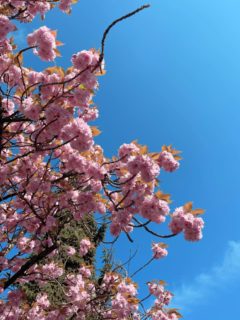 It’s spring 💕
CEPAKA
Waldstrasse 42
76133 Karlsruhe 
#cepakakarlsruhe
#fashionstyle
#boutiquekarlsruhe 
#springcollection
#visitkarlsruhe